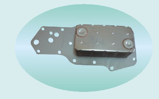 �|�L(f��ng)����˹6BT������